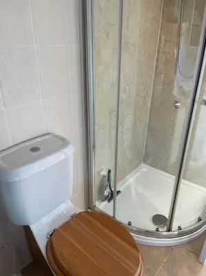a bathroom with a shower and a toilet with a wooden seat at The Hayloft - New Dog friendly with garden and parking in Port Isaac