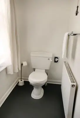 a bathroom with a white toilet in a room at Jolly Sailor Inn in Looe