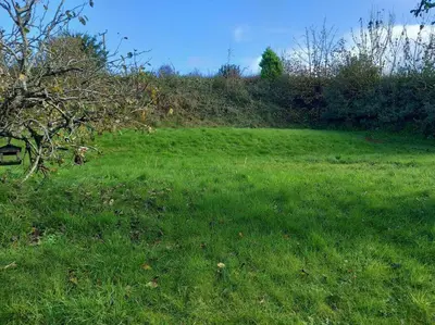 a field of green grass with a tree in it at Rural Cornish farmhouse in Liskeard