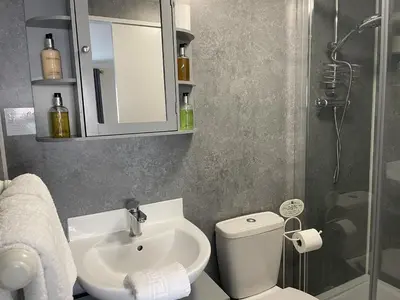 a bathroom with a sink and a toilet and a shower at Little Mainstone Guest House in Looe