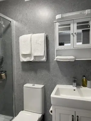 a bathroom with a white toilet and a sink at Little Mainstone Guest House in Looe