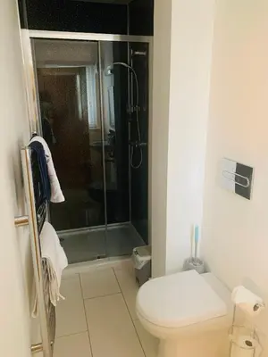 a bathroom with a toilet and a glass shower at double room in Wadebridge