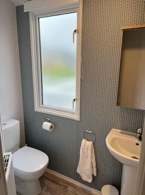 a bathroom with a toilet and a sink and a window at The Cornish hottub escape in St Austell