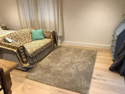 a living room with a couch and a rug at Apple Tree Barn - converted barn with meadow views in Helston