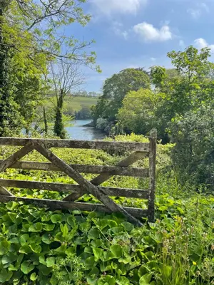 a wooden fence in a field next to a river at no.five Flushing in Flushing