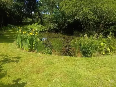 a pond in a garden with yellow flowers and grass at Cottage hideaway on the edge of Bodmin Moor in Launceston