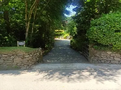 a stone path with a stone wall and trees at Cottage hideaway on the edge of Bodmin Moor in Launceston