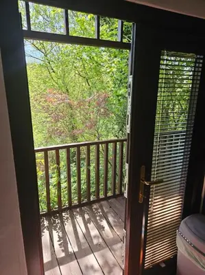 an open door to a porch with a view of trees at Treetops Lodge, private Cornish hideaway, parking, garden in Truro