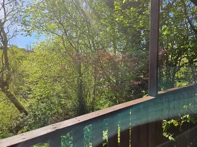 a window view of a garden from a fence at Treetops Lodge, private Cornish hideaway, parking, garden in Truro