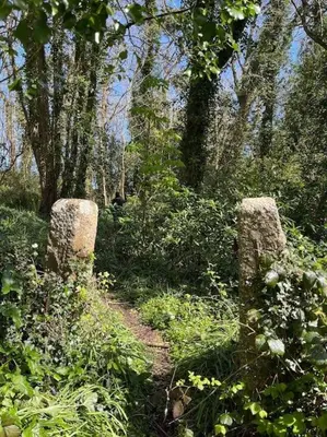 two stone barriers on a trail in the woods at Stepping Stones Cottage - Lelant, Nr St Ives in St Ives