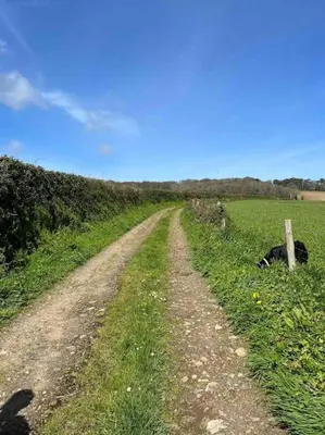 a dirt road in the middle of a field at Stepping Stones Cottage - Lelant, Nr St Ives in St Ives
