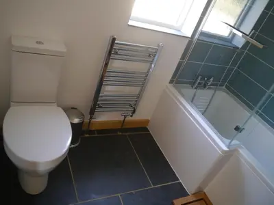 a bathroom with a toilet and a bath tub at Morvoren Cottage in Launceston