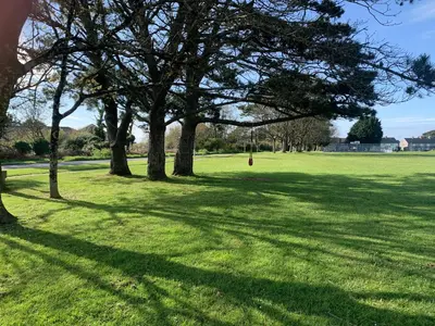 a group of trees in a grass field at 2 Boathouse Terrace in Wadebridge