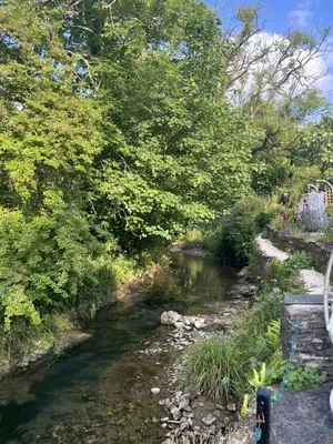 a river with trees and plants and a bridge at 2 Bedrooms overlooking Little Petherick Creek in Little Petherick