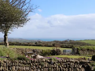 a garden with a stone wall and a tree at The Piggery in Penzance