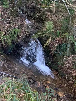 a small waterfall on the side of a creek at Brook lodge 2 in Liskeard