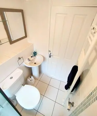 a bathroom with a white toilet and a sink at Woodland View - Families & Pets in Uny Lelant