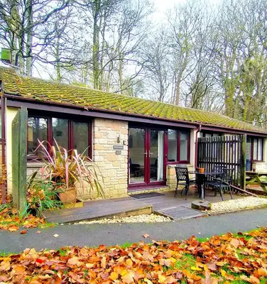 a house with a porch and a bench on a deck at Woodland View - Families & Pets in Uny Lelant