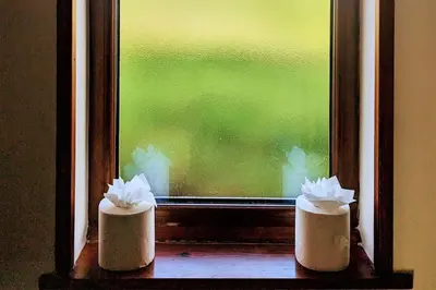 a window with two paper tissues on a window sill at Woodpecker Lodge- A Pet Friendly Rural Retreat in Callington