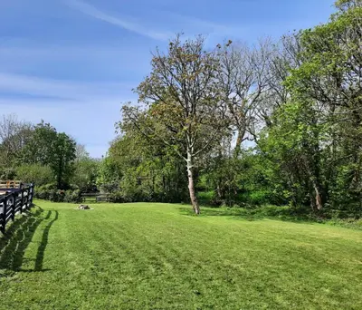 a park with a bench in a grass field at Beautiful Cabin near Padstow in Padstow