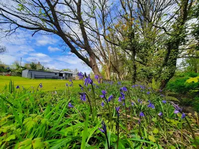 a field of flowers with a barn in the background at Beautiful Cabin near Padstow in Padstow