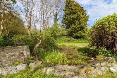 a garden with a bird standing in the grass at Moonlight in Truro