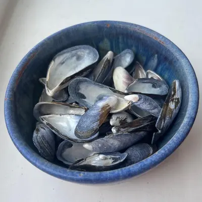 a blue bowl filled with mussels on a table at The Moorings - Just a few metres from the sea! in Padstow