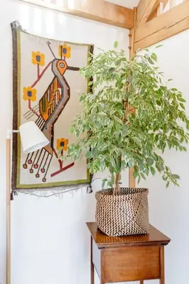 a potted plant sitting on a table next to a painting at Little Trenant Barn on Helford River Near Constantine in Constantine
