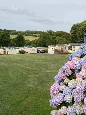 a bush of purple and pink flowers in a yard at Cosy 2 bed pet friendly holiday home Crantock Nr Newquay in Crantock
