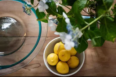 a bowl of lemons on a table next to a plant at The Old Shop in Withiel Village with private enclosed garden in Withiel