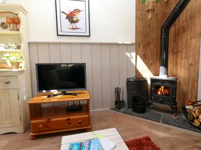 a living room with a tv and a stove at Little Wren Cottage in Marazion