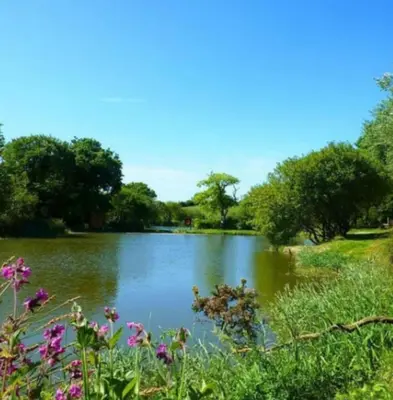a view of a lake with trees and flowers at Holiday Home - St Austell in St Austell