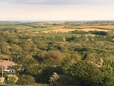 an overhead view of a forest of trees and fields at Moonraker Room with a View with ensuite shower room in St Austell