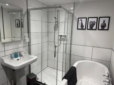 a bathroom with a shower and a sink at Tregue Cottage in Camelford