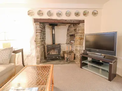 a living room with a television and a fireplace at Lower Tamsquite in Bodmin