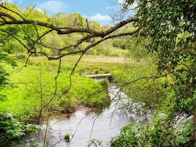 a tree branch hanging over a river with a bridge at Hingham Mill Cottage in Wadebridge