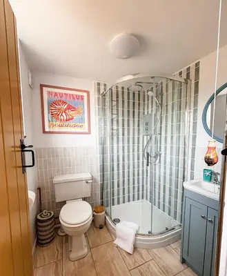 a bathroom with a shower and a toilet and a sink at April Cottage in Tintagel