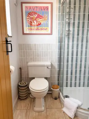 a bathroom with a toilet and a shower at April Cottage in Tintagel