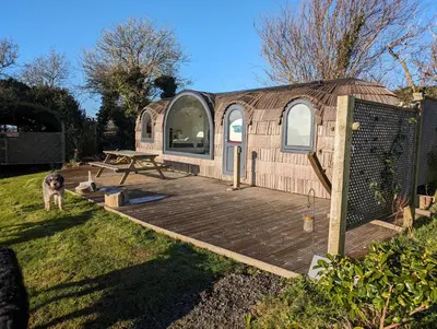 a dog standing in front of a small house at Dreckly cabin - Lydcott Glamping with Cornish sea views in Looe
