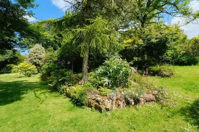 a garden with a tree and flowers in the grass at Farm Cottage, Chypons Farm, Rural St Ives in Penzance