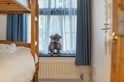 a small dog sitting in the window of a bedroom at 3 Bed in Padstow oc-h28928 in Padstow
