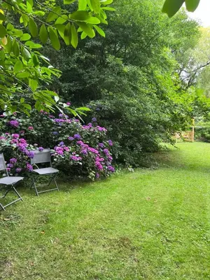 two chairs in a yard with flowers and trees at The Mill Lodge in Helston