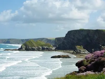 a beach with rocks and the ocean with purple flowers at Porth Lodge in Newquay