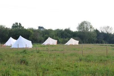 a group of three tents in a field at Luxury Glamping - Heydaze in Lostwithiel