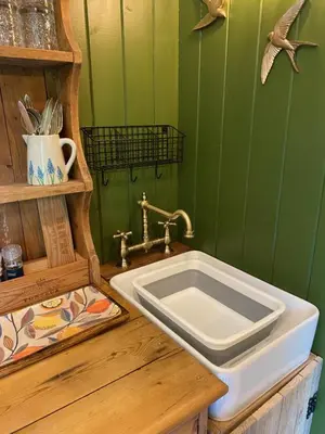 a bathroom with a sink and a green wall at The Goose Nest luxury lakeside shepherd hut in Cardinham Woods, Cornwall in Cardinham