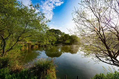a view of a river with trees on the side at 2 bed 2 ensuite Holiday Home in St Austell