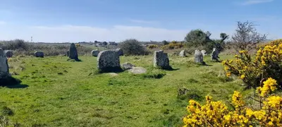 a field of stones in a field with yellow flowers at Penny's Place in Carbis Bay