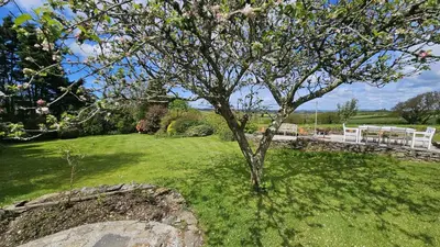 a tree in the middle of a green yard at Tregongon House in Veryan