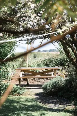 a wooden picnic table sitting under a tree at Charming Cottage near Beach! in Redruth