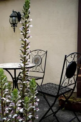 a table and a chair and a plant with flowers at Fabulous High Street Townhouse With Stunning Views & Parking at 'Eagles Nest' in Falmouth